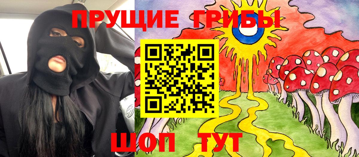 Псилоцибиновые грибы Cubensis Братск