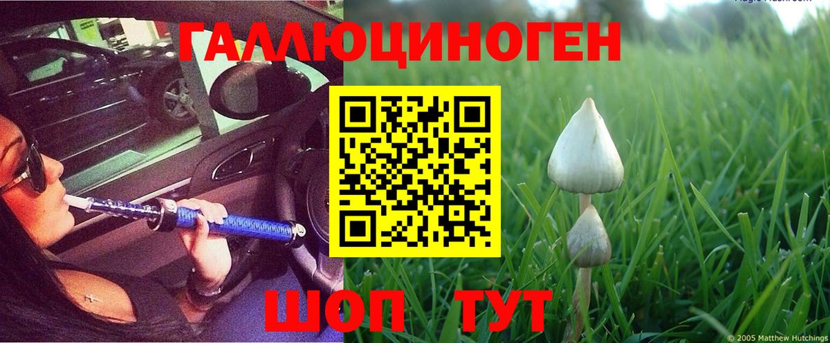 что такое   Братск  Псилоцибиновые грибы MAGIC MUSHROOMS 