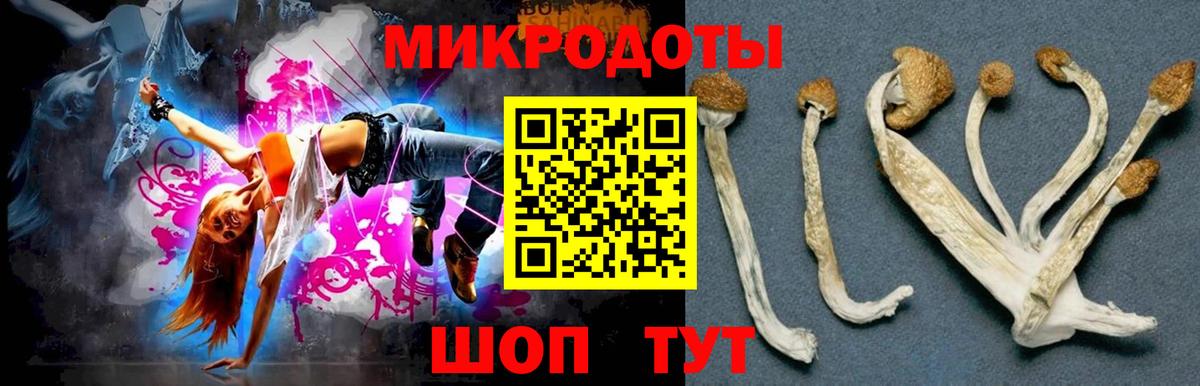 Псилоцибиновые грибы Magic Shrooms  Вход с VPN  Братск 