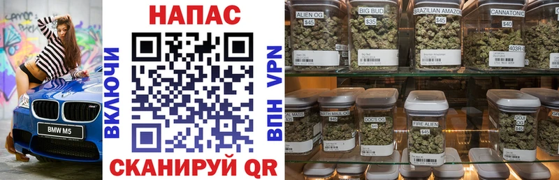 купить наркотик  Братск  KRAKEN как войти  Бошки Шишки SATIVA & INDICA 